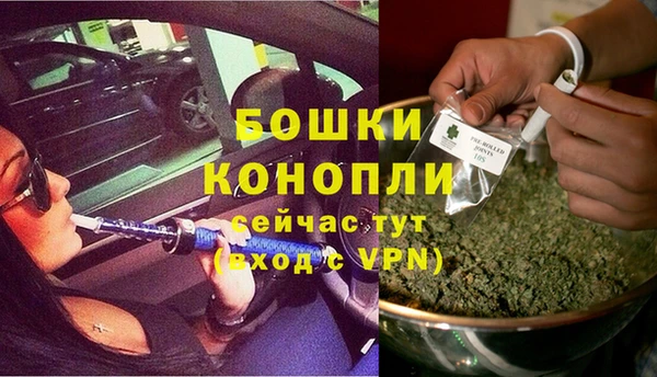 трава Беломорск