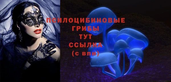 2c-b Богородск
